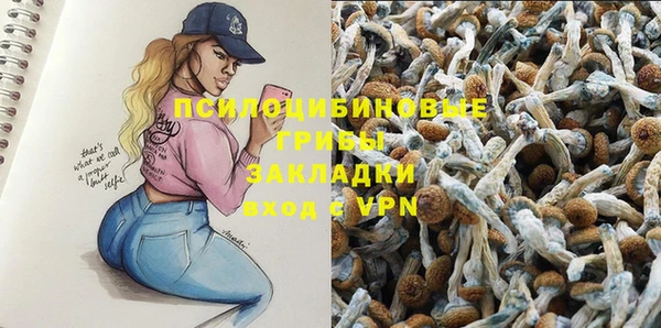 дмт Абдулино